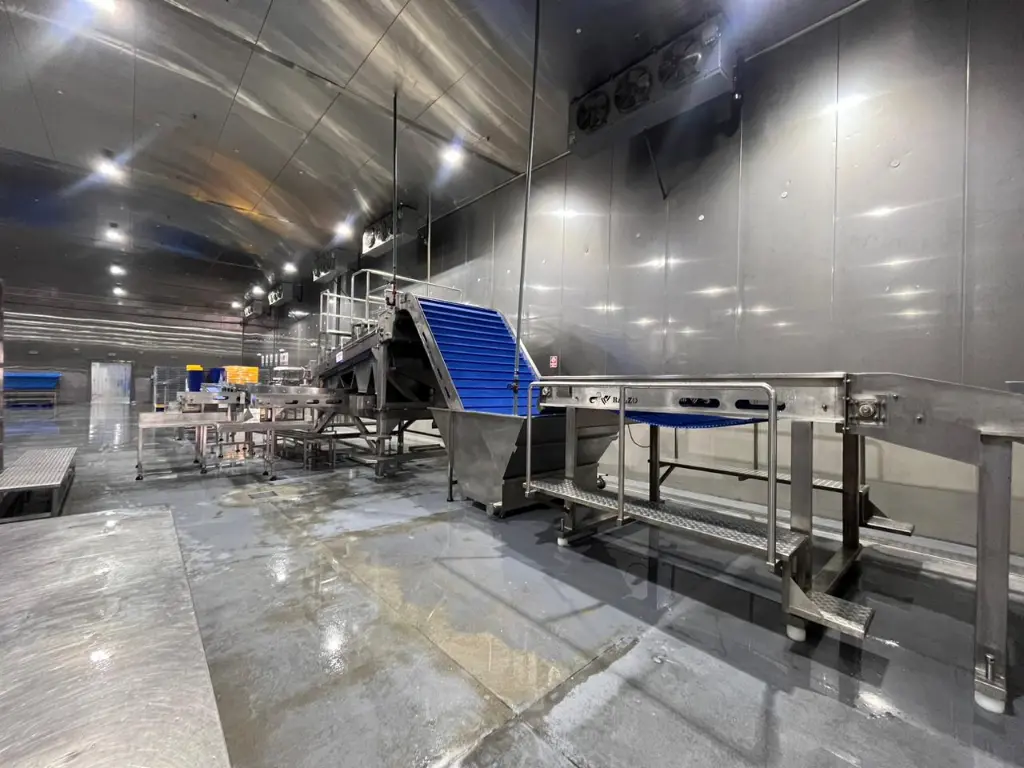 WhatsApp Image 2026-04-02 at 17.26.13 (3).webp