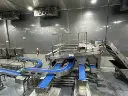 SHRIMP CLASSIFIYING MACHINE 7000