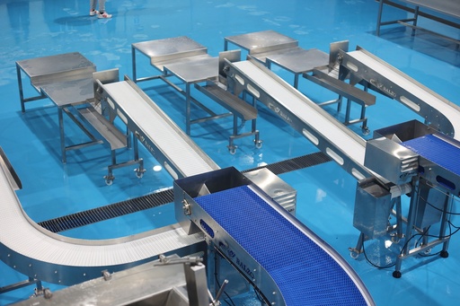 CONVEYORS