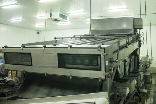 MÁQUINA CLASIFICADORA CAMARÓN 4000