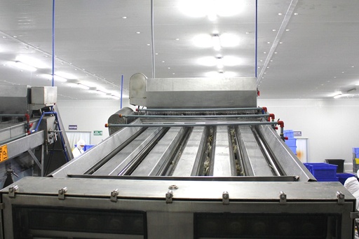 MÁQUINA CLASIFICADORA CAMARÓN 6000