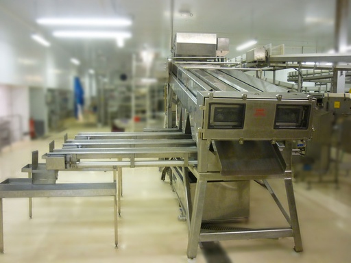 MÁQUINA CLASIFICADORA CAMARÓN 2000