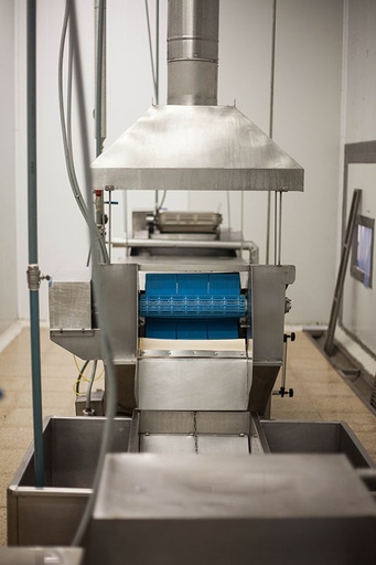 CONTINOUS COOKER BY IMMERSION
